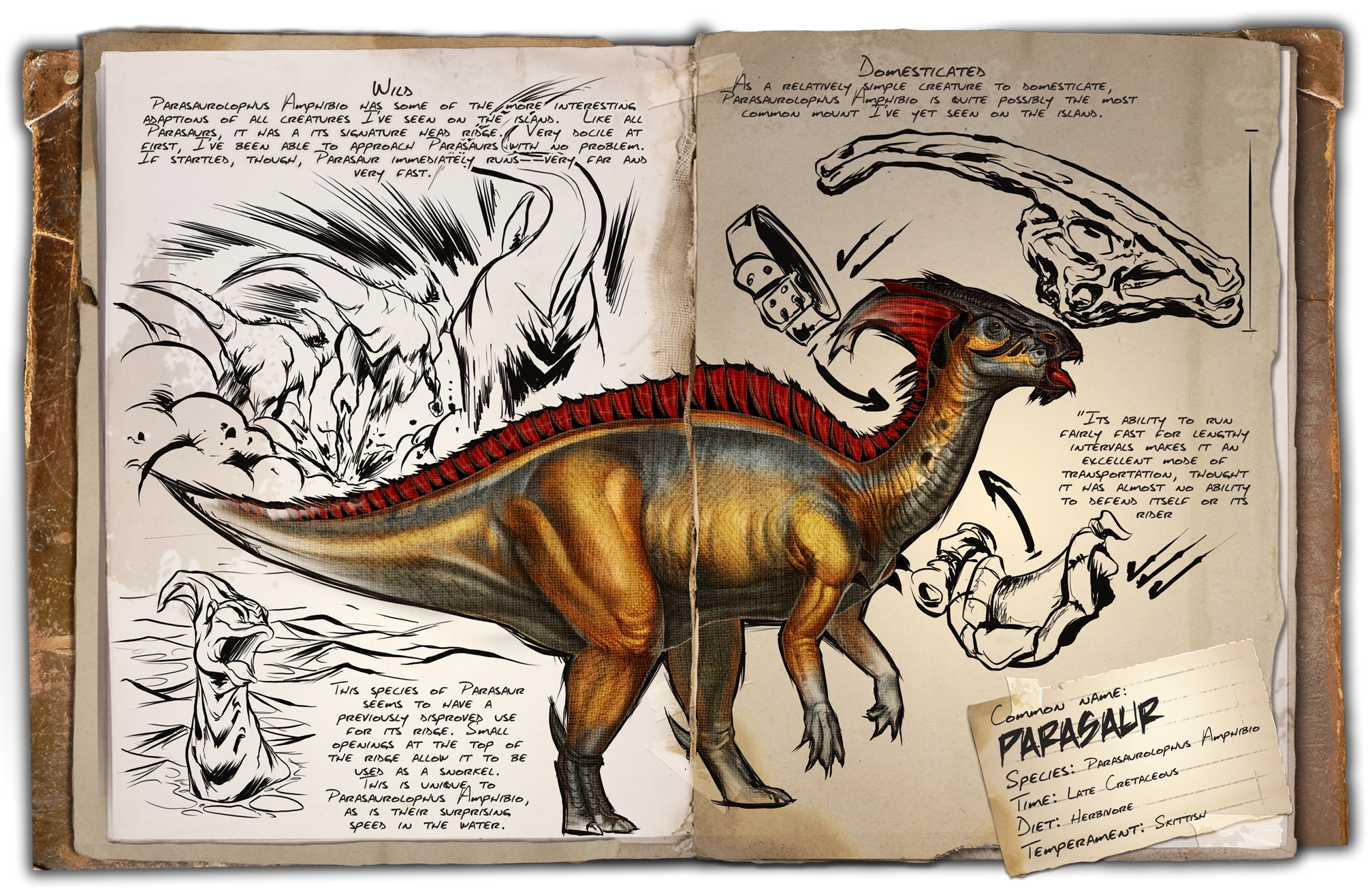 Dino 1